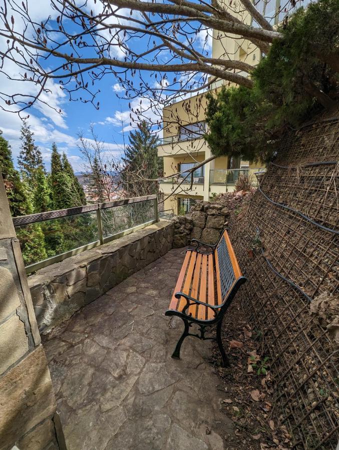 Studio 14 Brasov Luaran gambar